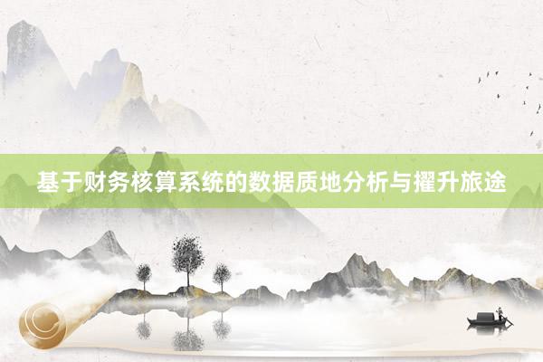 基于财务核算系统的数据质地分析与擢升旅途