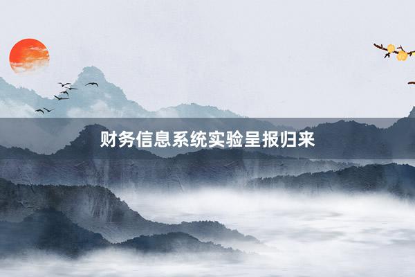 财务信息系统实验呈报归来