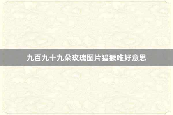 九百九十九朵玫瑰图片猖獗唯好意思