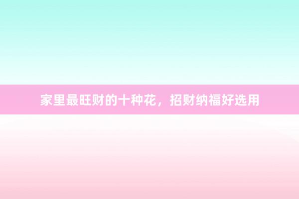 家里最旺财的十种花,招财纳福好选用