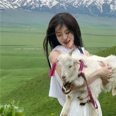 猫小姐寻真爱