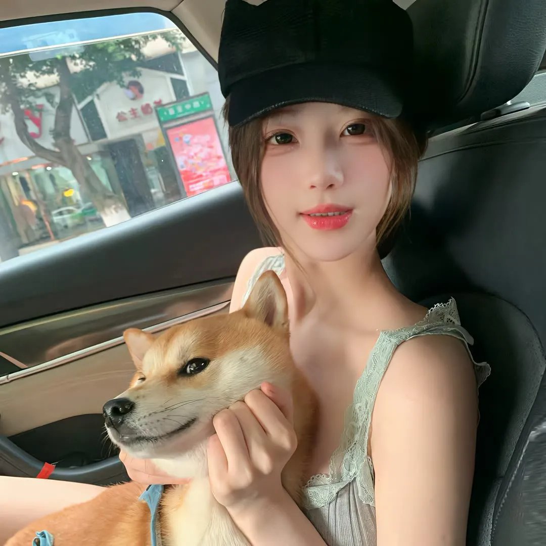 掩耳盗邻第一季